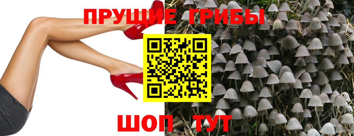 Галлюциногенные грибы Cubensis  Вход с VPN  Усть-Илимск  Галлюциногенные грибы Psilocybine cubensis 